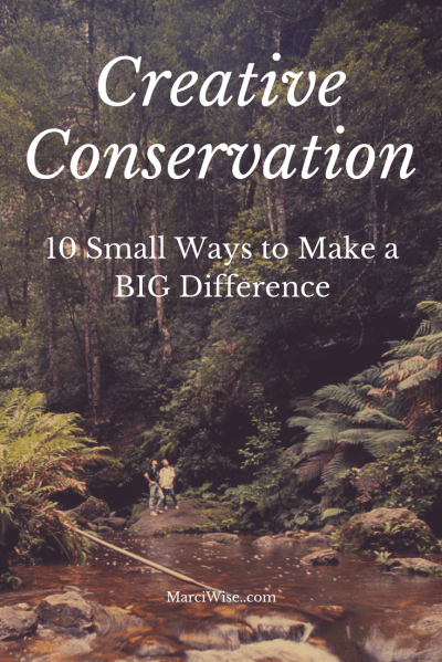 Creative Conservation