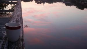 468949_Morning on the lake