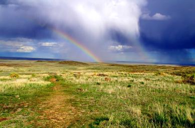 78812ab61d7065484780b48cfe2efa4c