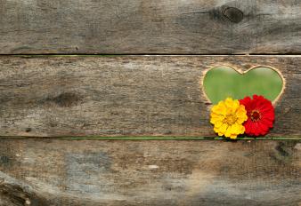 af4b2472d2bd805b729d6312c0a3fe4a